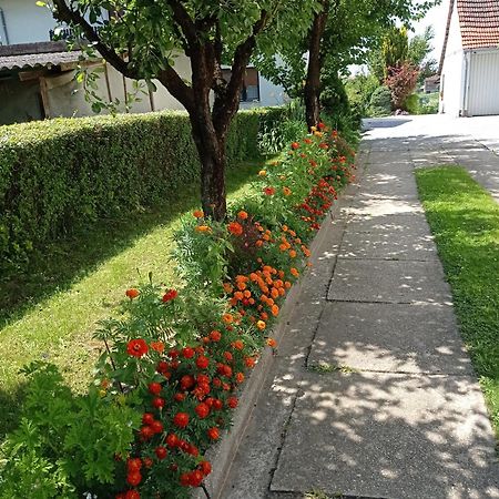 Apartman Skudar Bjelovar Εξωτερικό φωτογραφία