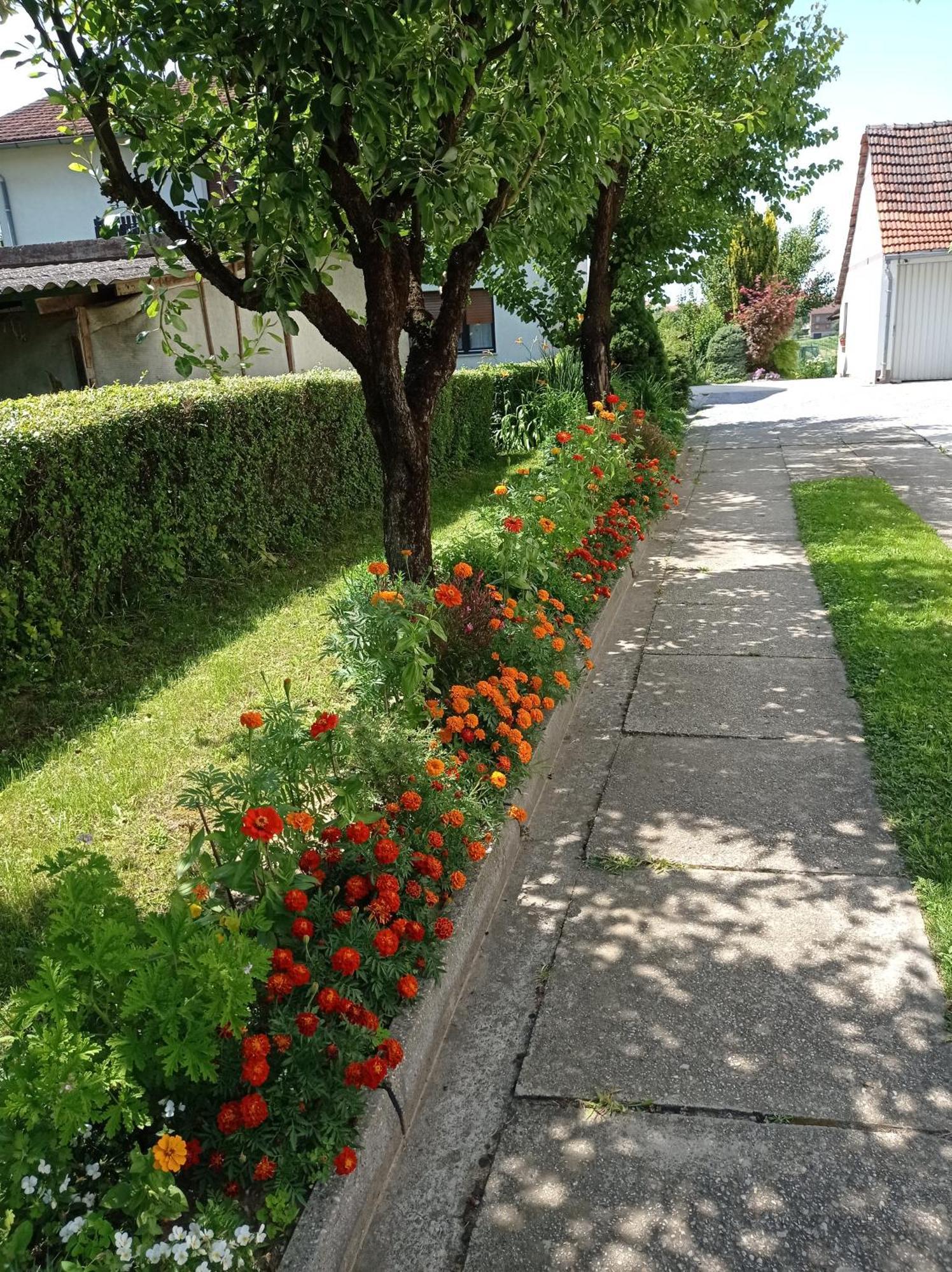 Apartman Skudar Bjelovar Εξωτερικό φωτογραφία