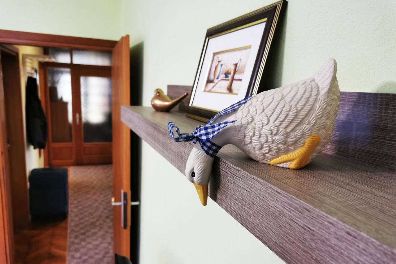 Apartman Skudar Bjelovar Εξωτερικό φωτογραφία